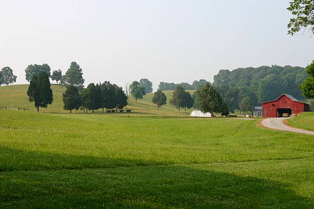 Countryside stock photo