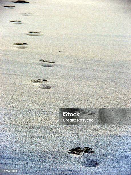 Footprints - Fotografias de stock e mais imagens de Andar - Andar, Areia, Carregar