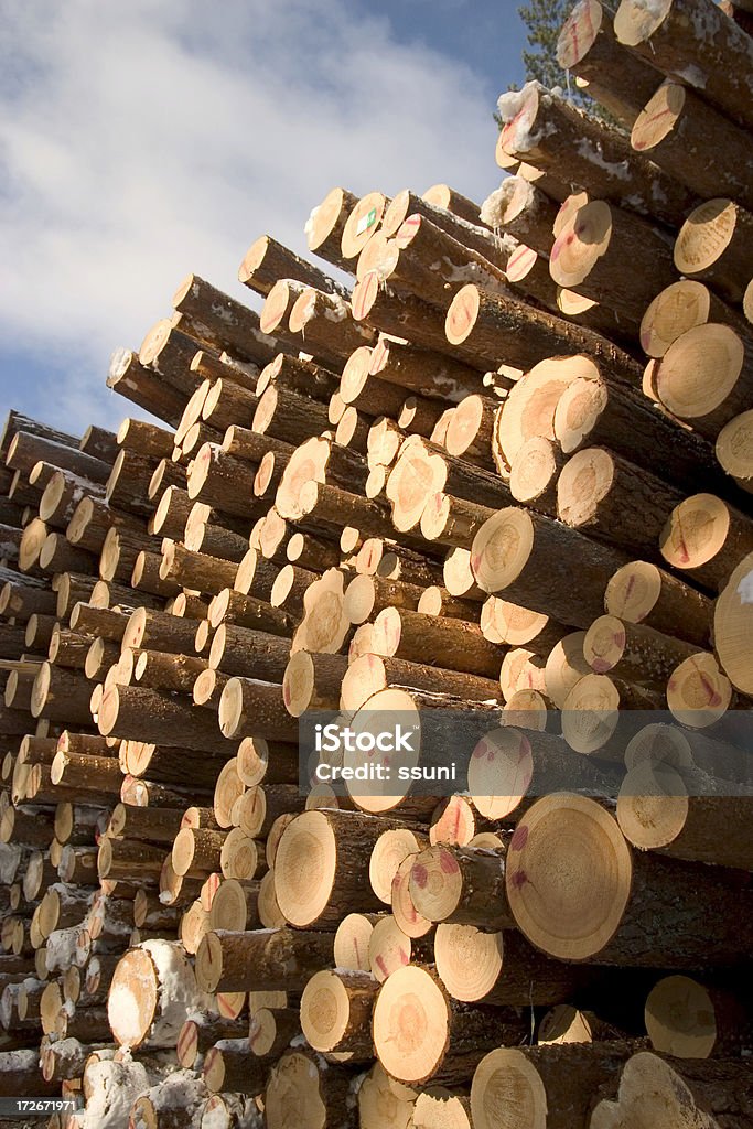 pinetree 로그 - 로열티 프리 목재 공업 스톡 사진