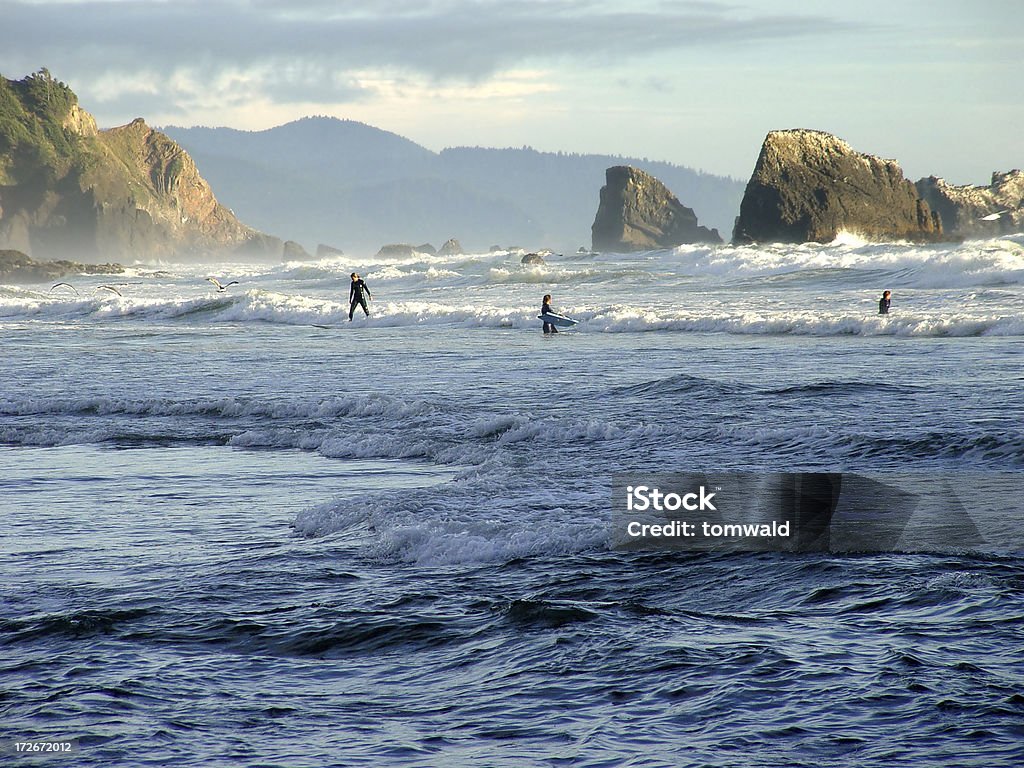 Surf Costa de Oregon - Royalty-free Ao Ar Livre Foto de stock