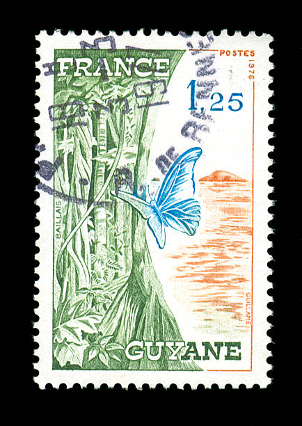 istock Stamp of France 172672128