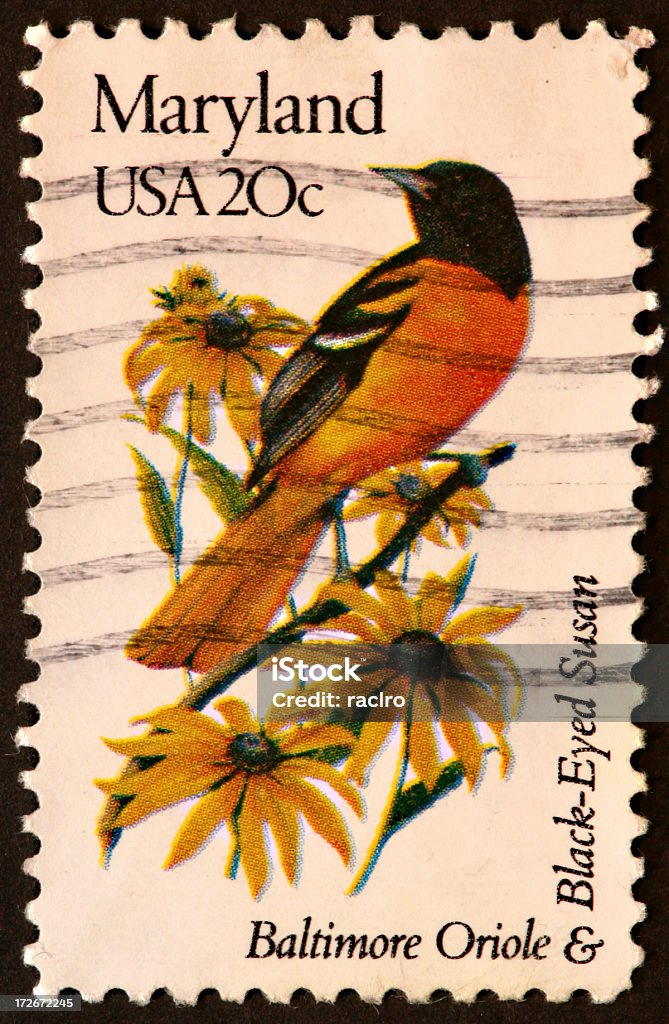 Maryland, Oriole und Black-eyed Susan stamp - Lizenzfrei Rudbeckie Stock-Foto