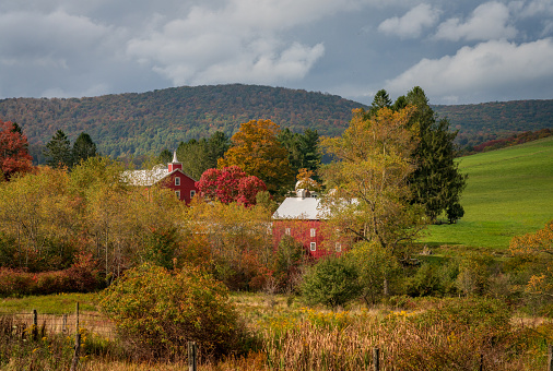Historic red barn and farm buildings nestled in the trees in autumn near Aurora in West Virginia in the fall