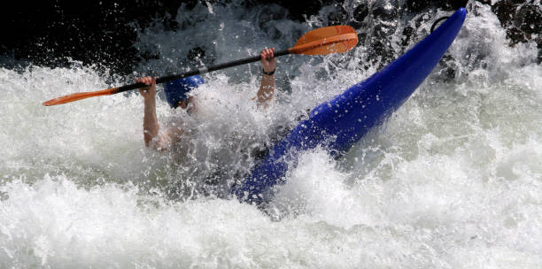 anatra all'acqua - kayaking white water atlanta river nature foto e immagini stock