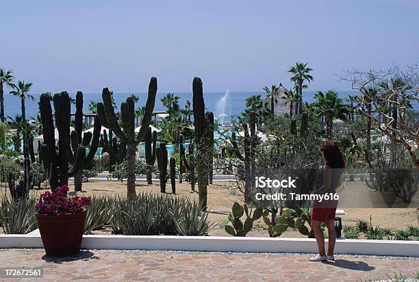 Photo libre de droit de Femme En Vacances banque d'images et plus d'images libres de droit de Terrain paysagé - Terrain paysagé, Admirer le paysage, Adulte