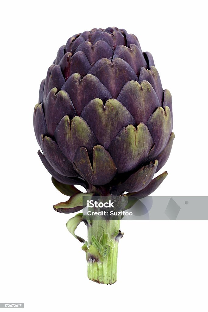 artichoke "A purple artichoke (this is its natural color, not dyed). Isolated on white." Artichoke Stock Photo