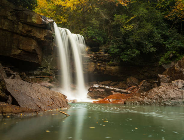 더글라스 폭포, 블랙워터 캐년 트레일, 토마스 웨스트 버지니아 근처 - monongahela national forest landscapes nature waterfall 뉴스 사진 이미지