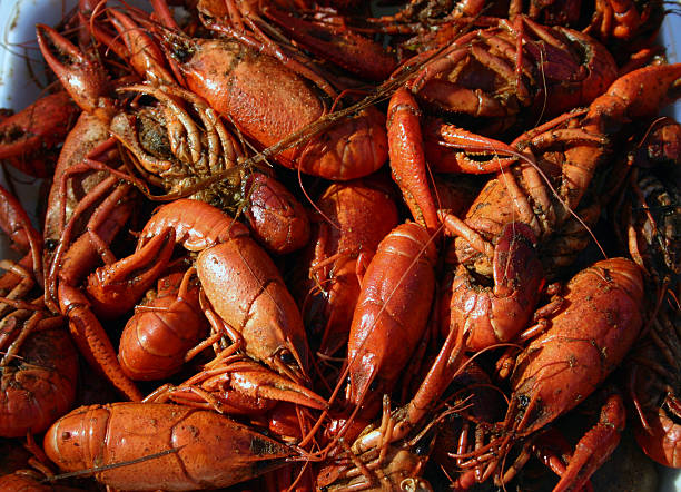 langusty obiad - crayfish cajun food louisiana boiled zdjęcia i obrazy z banku zdjęć