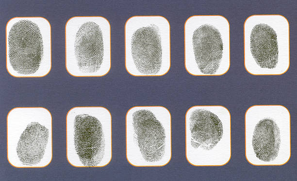 le impronte digitali - police statement foto e immagini stock