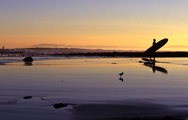 Surfer at Sunset in Santa Barbara, California
