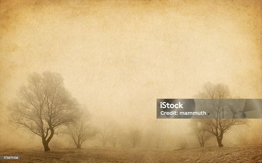 Alberi nella nebbia invernale - Foto stock royalty-free di Abbandonato