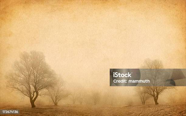 Alberi Nella Nebbia Invernale - Fotografie stock e altre immagini di Abbandonato - Abbandonato, Albero, Albero spoglio