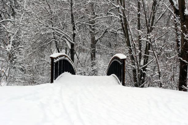 istock Top of the Bridge 172674186