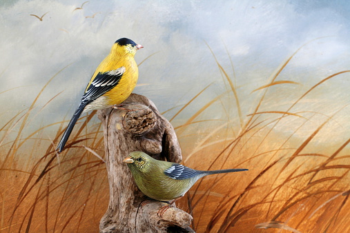 Image of unique handcrafted goldfinches shot against a painted background, both from the same artist.