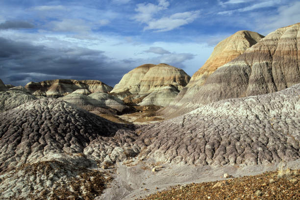 istock Badland in Petrified Forest National Park 172674668