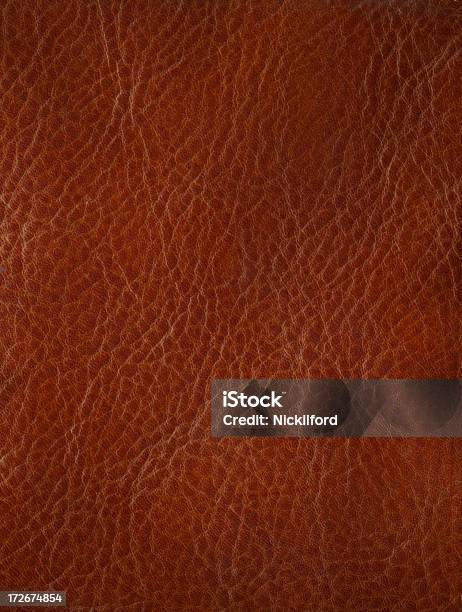 Hi Res Leather Texture Stock Photo - Download Image Now - Animal, Animal Body Part, Animal Skin