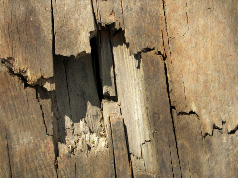 TEXTURE: Broken Wood Board