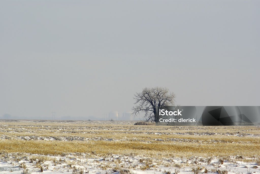 의란 겨울 풍경 - 로열티 프리 0명 스톡 사진