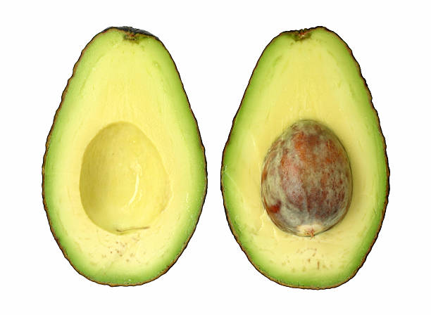 avocado, halved "An avocado, cut in half. Isolated on white." two objects vegetable seed ripe stock pictures, royalty-free photos & images