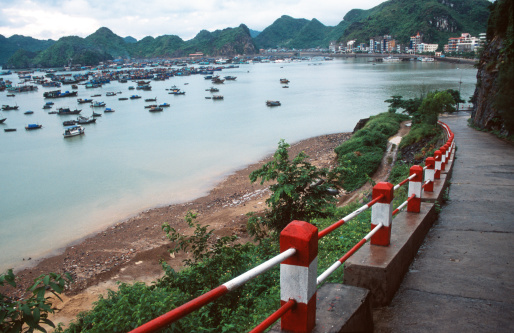 Cat Ba harbor (Vietnam)More images of same photographer in lightbox: