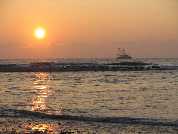 Barco de pesca de gambas en sunrise - foto de stock