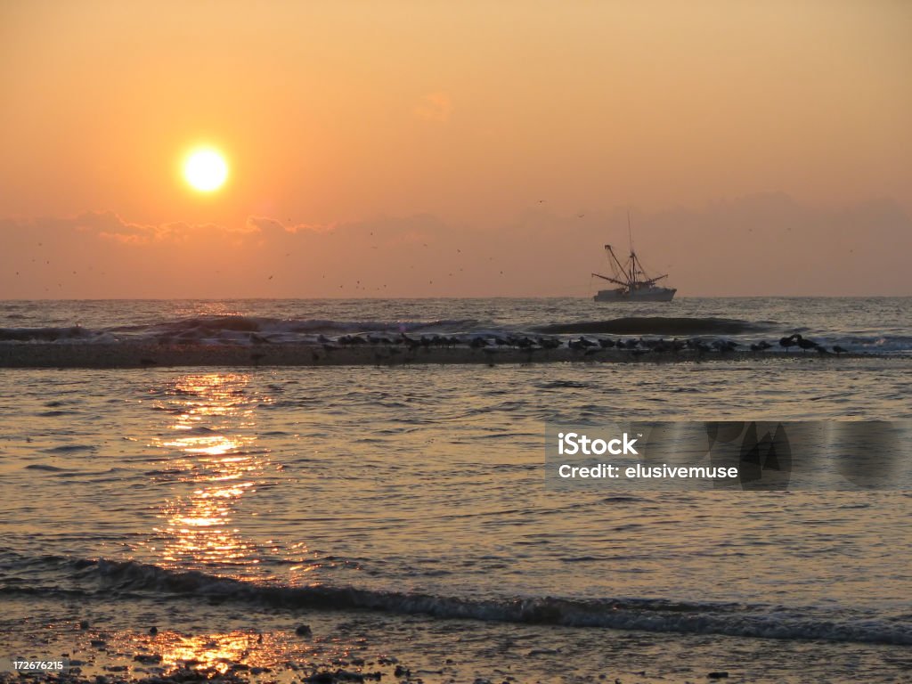 Peschereccio per gamberi al tramonto - Foto stock royalty-free di Industria della pesca