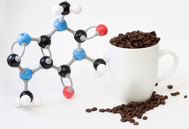 Caffeine and cup Molecular structure of caffeine and cup of coffee beans caffeine molecule stock pictures, royalty-free photos & images