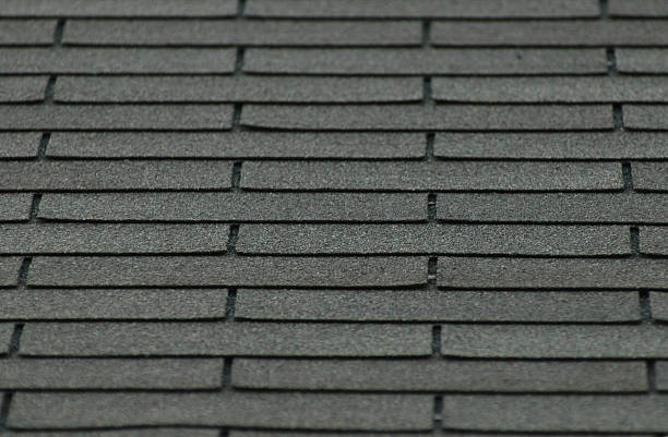 istock Limited DOF Shingles 172676617