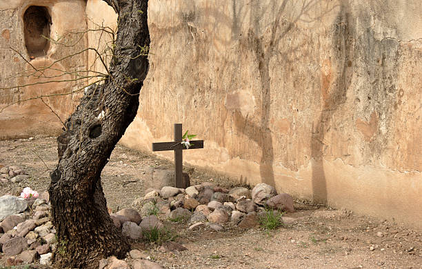 cemitério com árvore e sombra - tumacacori national historical park imagens e fotografias de stock