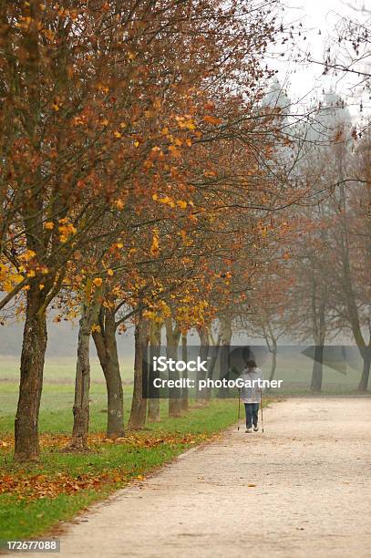 Woman Exercising In A Park Stock Photo - Download Image Now - Active Lifestyle, Activity, Adult