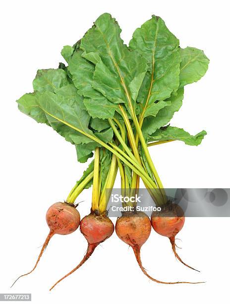 Beets Dourado - Fotografias de stock e mais imagens de Beterraba - Tubérculo - Beterraba - Tubérculo, Dourado - Cores, Beterraba Dourada