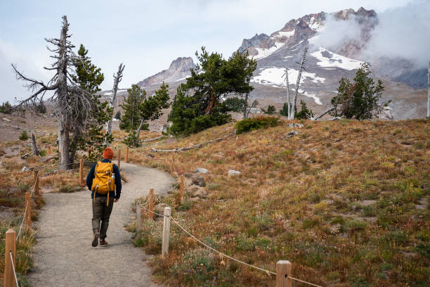istock Bearded hiker going on the path in front of Mount Rainier covered with snow in Washington State USA during winter 1726773768