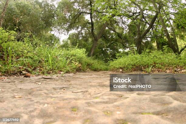 Percursos De Terra - Fotografias de stock e mais imagens de Lama - Solo - Lama - Solo, Pedra - Rocha, 12 Horas