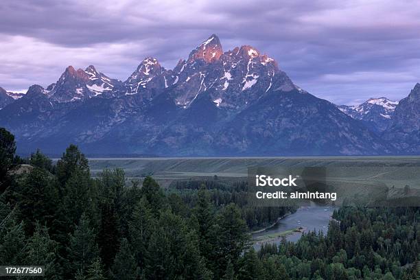 Snake River Mit Blick Auf Stockfoto und mehr Bilder von Baum - Baum, Berg, Berggipfel