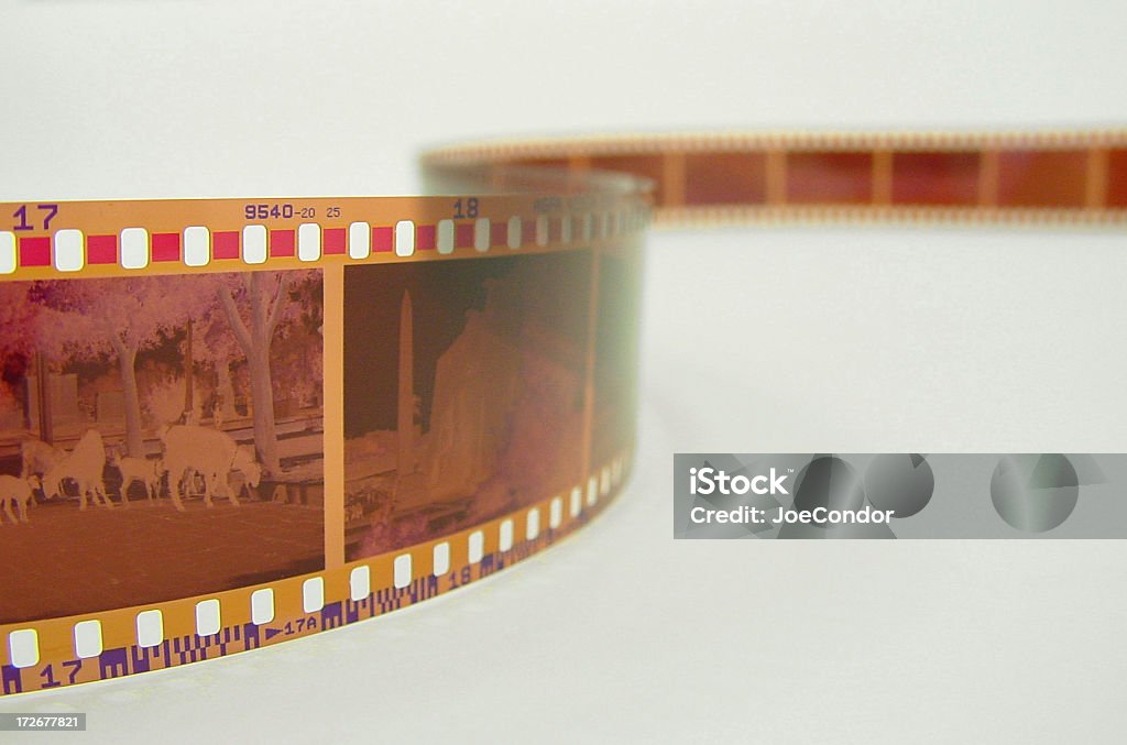 35 mm (필름 - 로열티 프리 카메라 필름 스톡 사진