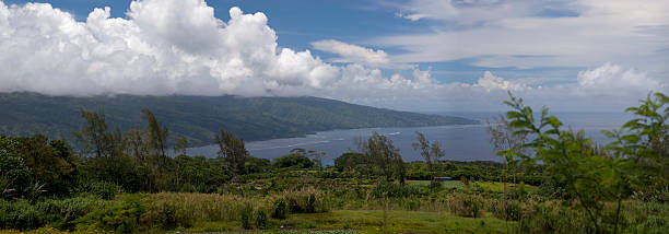 istock Panorama of Tahiti Nui 172677907