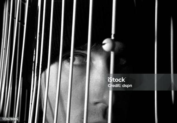 Cage Risikomatrix Zugegriffen Stockfoto und mehr Bilder von Angst - Angst, Auge, Begrenzte Räume