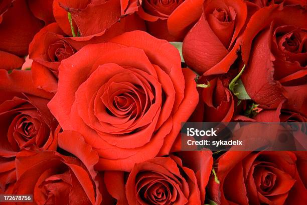 Para Namorados Dia Ramo - Fotografias de stock e mais imagens de Beleza natural - Beleza natural, Bouquet, Colorido