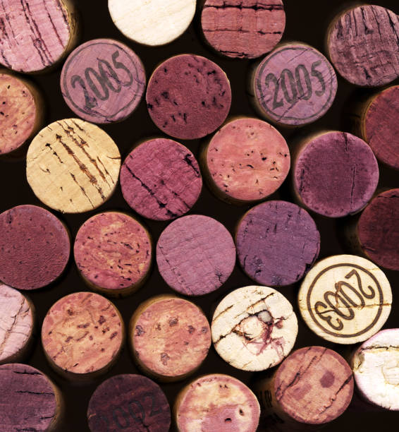 istock Closeup of a variety wine corks 172678968