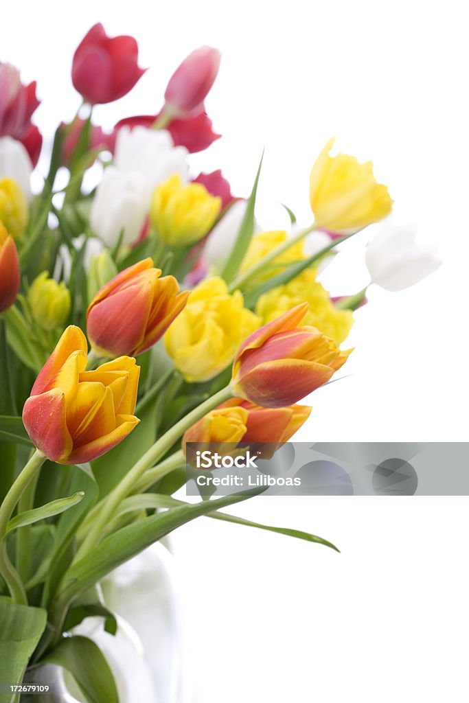 Tulipani Bouquet (XL - Foto stock royalty-free di Arancione