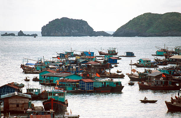 istock Fishing boats in Cat Ba Harbor 172679131