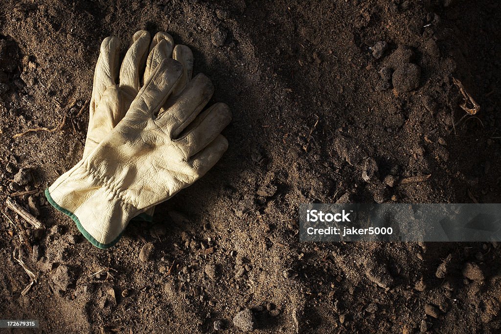 Die Handschuhe in Moto - Lizenzfrei Arbeitshandschuh Stock-Foto