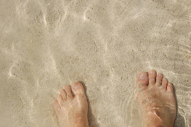 waten sandige füße - human foot wading sea human toe stock-fotos und bilder