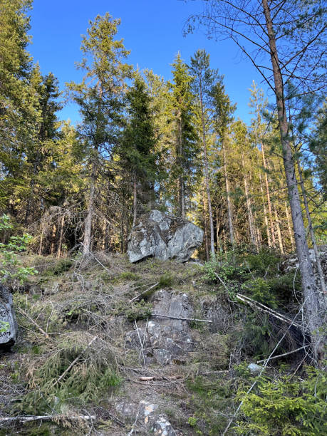 istock A Rock in The Woods. 1726795252