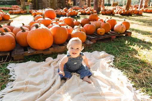 A One-Year-Old Baby Boy Wearing Denim Overalls While Surrounded by Orange Pumpkins at a Pumpkin Patch in South Florida