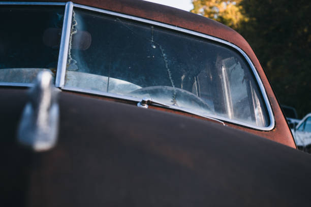 old rusted cars in the fieldcanon 50mm