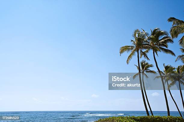 Kauai Na Hawajach Xxl Beach - zdjęcia stockowe i więcej obrazów Bez ludzi - Bez ludzi, Bezchmurne niebo, Brzeg wody