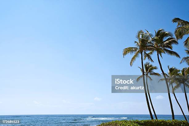 Xxl Praia De Kauai Havai - Fotografias de stock e mais imagens de Arte, Cultura e Espetáculo - Arte, Cultura e Espetáculo, Atividade Recreativa, Azul