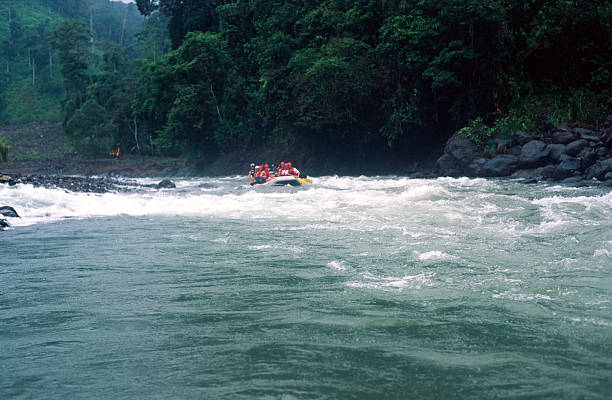 뗏목 코스타리카 - teamwork river rafting costa rica 뉴스 사진 이미지