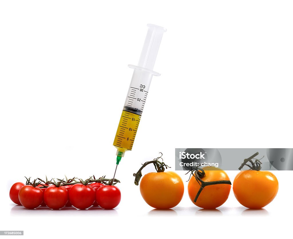 Wie machen große gelbe Tomaten - Lizenzfrei Biologie Stock-Foto